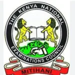 Check Now: Knec KCPE Results 2024