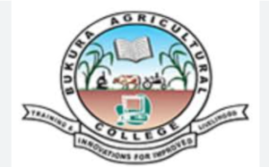 Bukura Student Portal: Complete Access Guide